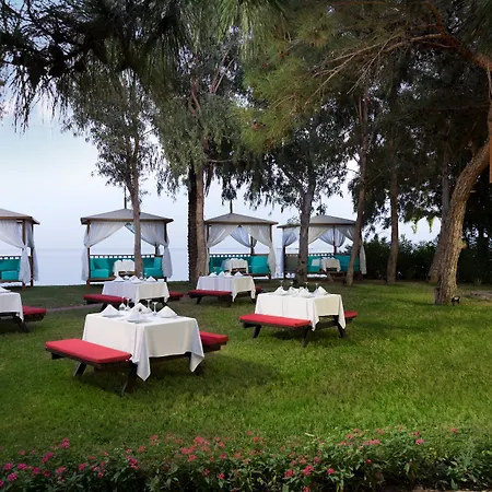 Tui Magic Life Rixos - Adult Only 5* 贝尔迪比