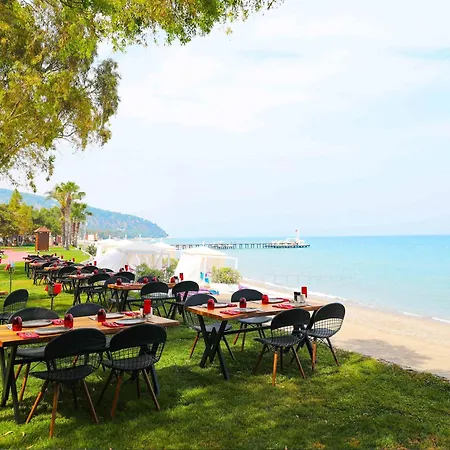 Tui Magic Life Rixos - Adult Only 度假村 贝尔迪比