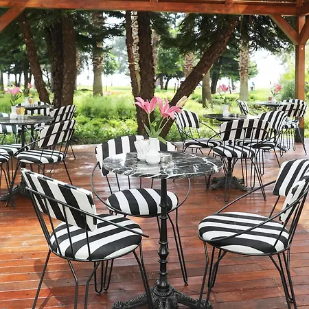 Tui Magic Life Rixos - Adult Only 贝尔迪比